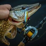 Top five fishing spots in North America